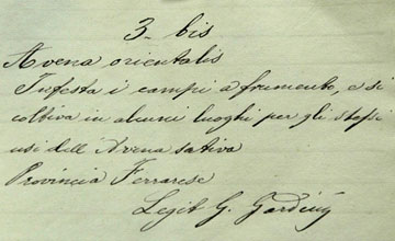 Cartellino autografo di Galdino Gardini (n° inv. 116) con breve descrizione