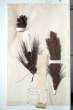 Pinus halepensis Miller